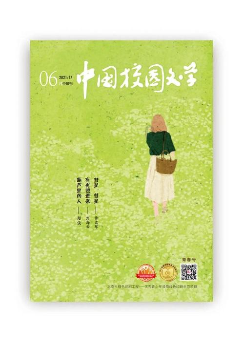 了不起的麦瑟尔夫人